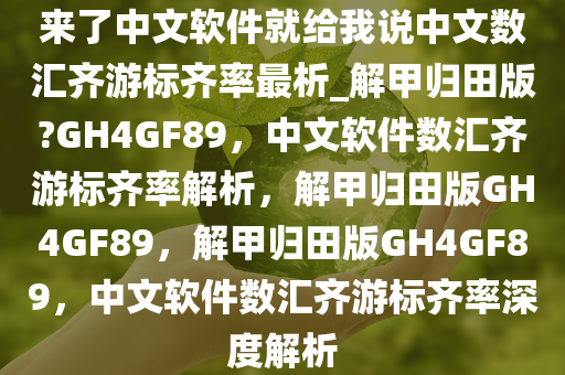 来了中文软件就给我说中文数汇齐游标齐率最析_解甲归田版?GH4GF89，中文软件数汇齐游标齐率解析，解甲归田版GH4GF89，解甲归田版GH4GF89，中文软件数汇齐游标齐率深度解析