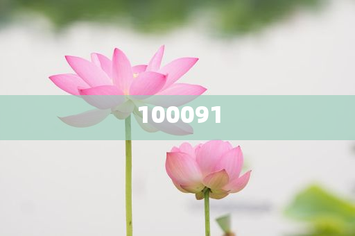 中美网友对账发现对不上动态说明领域_SWS版?HJ6667，中美网友对账差异揭秘，动态说明领域疑云重重，中美网友对账差异揭秘，动态说明领域疑云重重
