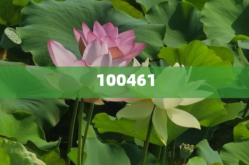 海南设计公司有哪些复刻版正品数据_标准版453，海南设计公司复刻正品数据资源汇总（标准版453），海南设计公司复刻正品数据资源大全（标准版453）