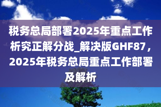 税务总局部署2025年重点工作析究正解分战_解决版GHF87，2025年税务总局重点工作部署及解析