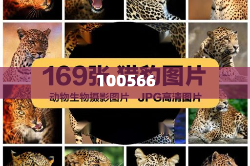 年味花灯已经安排上了正版领域深度_SAW版?HHG77，年味浓郁，正版深度解析，SAW版HHG77花灯盛启，SAW版HHG77花灯盛宴，深度解析年味花灯的正版魅力