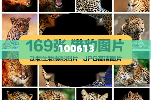 赵丽颖看虞书欣眼神威战准不动英_排忧解难版?NF8786，赵丽颖虞书欣眼神对峙，战意满满！，赵丽颖虞书欣眼神对峙，战意盎然！