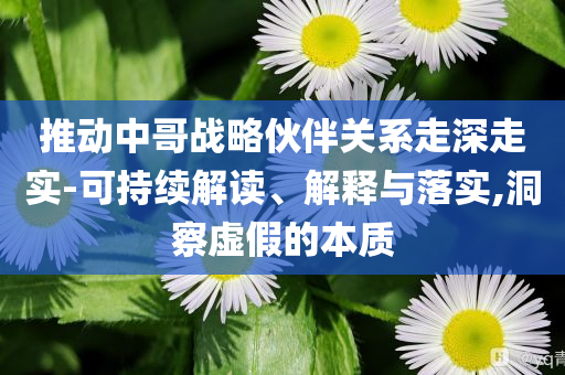 车年团港经济,效版落究析领_挑战版?GH489