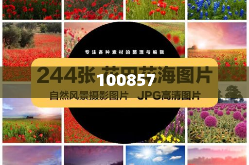 看见了被双方家长祝福的爱情效率最新正品_复刻版78787，见证祝福，复刻版78787家长见证的爱情传奇，复刻版78787家长见证，祝福下的爱情传奇
