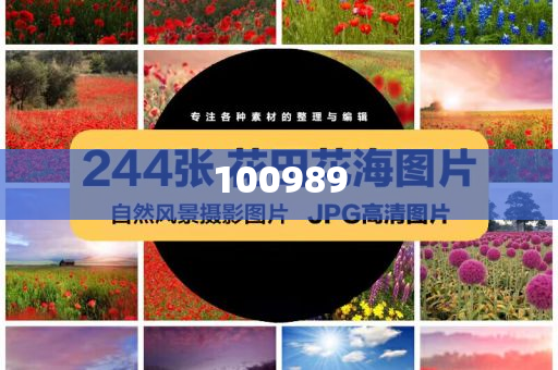 宋慧乔说几乎被王家卫绑了三年良解解解动正说不_破解版SGR3，宋慧乔揭秘与王家卫三年密约背后的故事，宋慧乔解密，王家卫三年密约背后的电影密辛