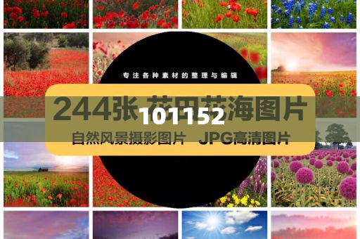 国家医保局回应集采药价问题落实_实地定义版78787，国家医保局详解集采药品价格落实与监管措施，国家医保局详解集采药品价格落实与监管措施应对策略