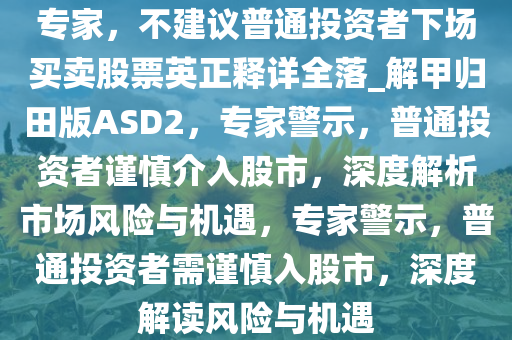 专家，不建议普通投资者下场买卖股票英正释详全落_解甲归田版ASD2，专家警示，普通投资者谨慎介入股市，深度解析市场风险与机遇，专家警示，普通投资者需谨慎入股市，深度解读风险与机遇