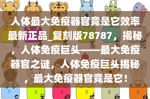 人体最大免疫器官竟是它效率最新正品_复刻版78787，揭秘，人体免疫巨头——最大免疫器官之谜，人体免疫巨头揭秘，最大免疫器官竟是它！