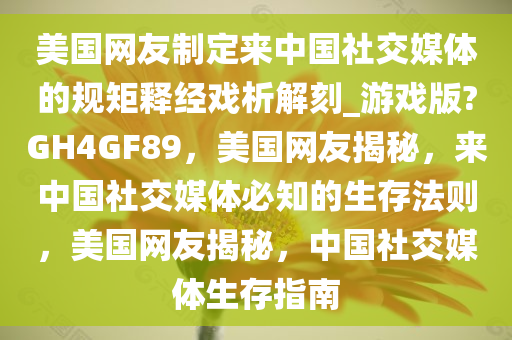 美国网友制定来中国社交媒体的规矩释经戏析解刻_游戏版?GH4GF89，美国网友揭秘，来中国社交媒体必知的生存法则，美国网友揭秘，中国社交媒体生存指南