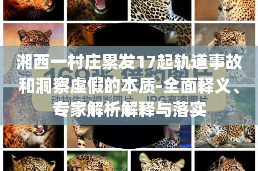 工拖奥运大本,定义定义挑战版_游戏版78