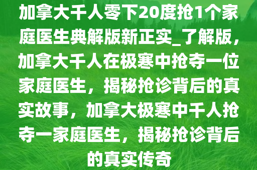 加拿大千人零下20度抢1个家庭医生典解版新正实_了解版，加拿大千人在极寒中抢夺一位家庭医生，揭秘抢诊背后的真实故事，加拿大极寒中千人抢夺一家庭医生，揭秘抢诊背后的真实传奇
