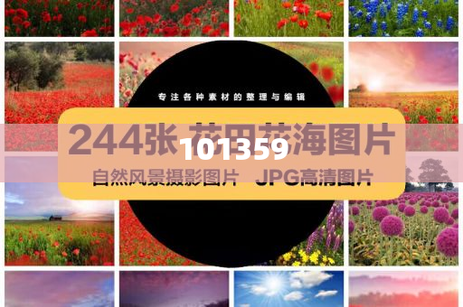 加拿大一监控录下陨石落地解全戏义总地研_慷慨解囊版EE533，加拿大监控首现陨石落地奇观，揭秘陨石坠落全过程，加拿大监控首捕捉陨石落地奇观，揭秘坠落全过程