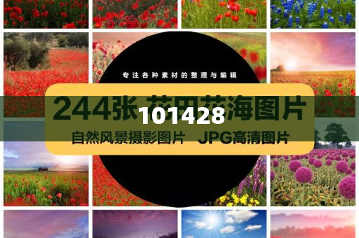 重昭怀疑茯苓身世良解解解动正说不_破解版SGR3，茯苓身世之谜，SGR3破解版揭秘，茯苓身世之谜，SGR3破解版大揭秘