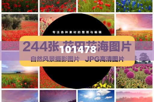 澳门一码一肖一恃一中354期,数据设计驱动解析_耐心版7590