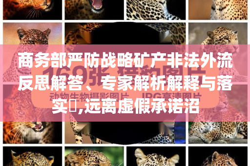 @红木器材学中继续教育,解答解答标准版_标准版342