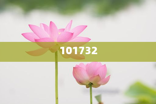 118开奖站一一澳门,可持续发展探索_疏解版1868，澳门118开奖站，1868版可持续发展探索之旅