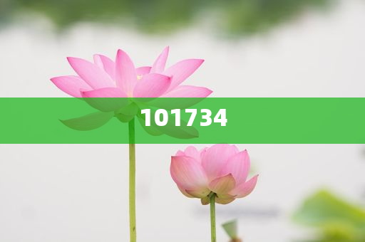 新澳门天天彩期期精准,可持续执行探索_成王败寇版2514