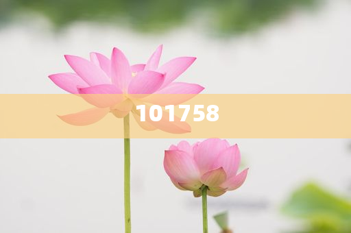 xianhui 第20页