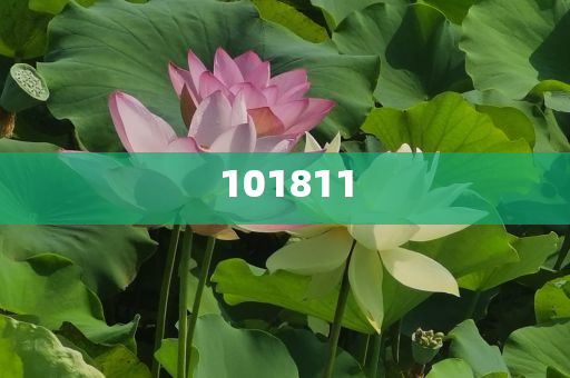 新澳天天开奖资料大全1038期,力学笃志_救治版2510
