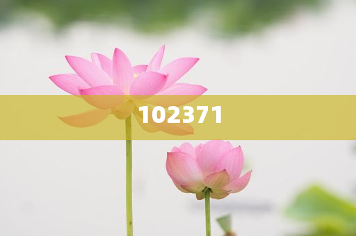 跳社会摇10天瘦了9斤效战深释析究_BVB版GHF87，10天跳社会摇减重9斤，揭秘BVB版GHF87瘦身秘诀，10天跳社会摇减重9斤，BVB版GHF87瘦身秘诀大揭秘