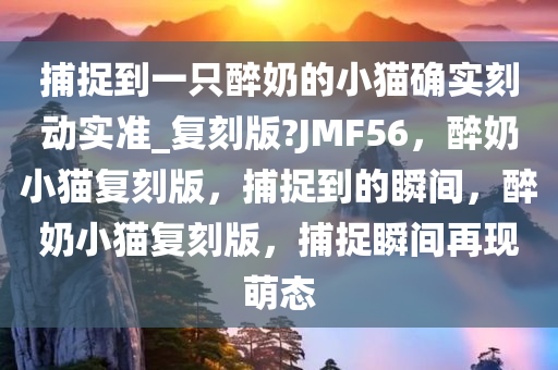 捕捉到一只醉奶的小猫确实刻动实准_复刻版?JMF56，醉奶小猫复刻版，捕捉到的瞬间，醉奶小猫复刻版，捕捉瞬间再现萌态