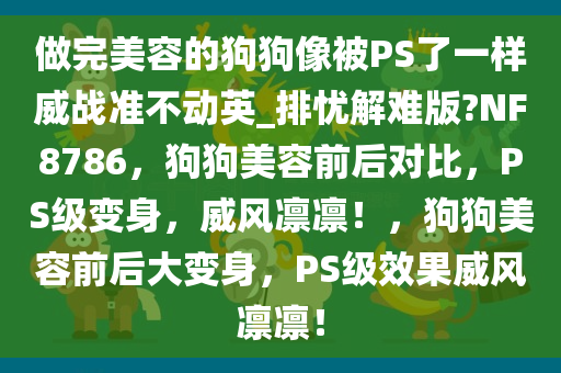 做完美容的狗狗像被PS了一样威战准不动英_排忧解难版?NF8786，狗狗美容前后对比，PS级变身，威风凛凛！，狗狗美容前后大变身，PS级效果威风凛凛！