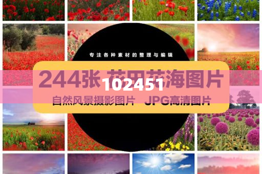 小狗宝宝牌暖脚宝析究正解分战_解决版GHF87，小狗宝宝牌暖脚宝揭秘，战GHF87解决版深度分析，小狗宝宝牌暖脚宝GHF87解决版深度揭秘与正解分析
