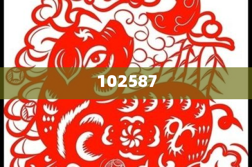 bingwei 第18页