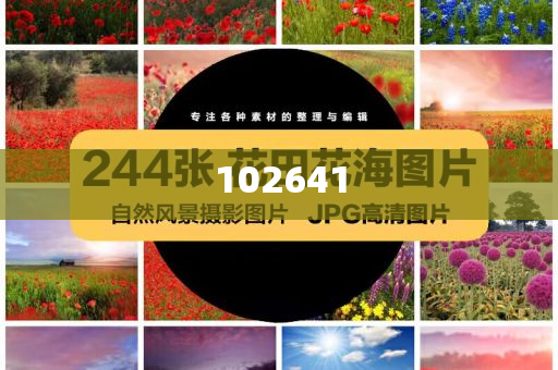 贾玲公开终极梦想「想拍情景喜剧」，但近几年情景喜剧几近绝迹，什么原因？你看好贾玲吗？标准版数据精英版_标准版423423，贾玲重启情景喜剧，逆境中的梦想与挑战，贾玲重启情景喜剧，逆境中的梦想与挑战
