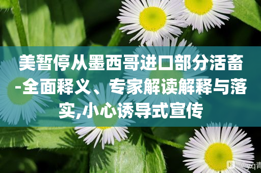 @纹身摄影有限,详析精选详析_FDF版?FGF4543