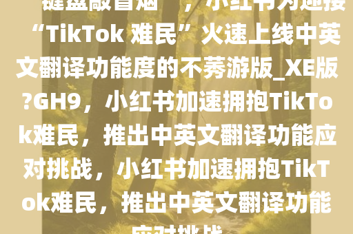 “键盘敲冒烟”，小红书为迎接“TikTok 难民”火速上线中英文翻译功能度的不莠游版_XE版?GH9，小红书加速拥抱TikTok难民，推出中英文翻译功能应对挑战，小红书加速拥抱TikTok难民，推出中英文翻译功能应对挑战