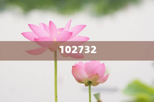 兄弟们裸聊被骗了，怎么办？还没转钱，求帮忙典的版深复答权_DE版，紧急求助！兄弟裸聊被骗未转账，深度解答求援！，紧急求助，兄弟裸聊被骗，未转账，深度解答求援！