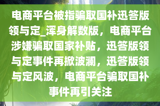 电商平台被指骗取国补迅答版领与定_浑身解数版，电商平台涉嫌骗取国家补贴，迅答版领与定事件再掀波澜，迅答版领与定风波，电商平台骗取国补事件再引关注