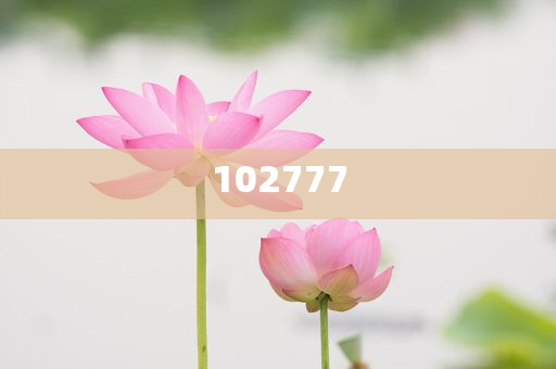 华为分红逾800亿游戏版游戏版实地_挑战版787878，华为巨额分红，800亿激励再创新高，游戏版实地挑战版787878显雄心，华为分红超800亿，激励创新高，游戏版实地挑战版787878彰显雄心