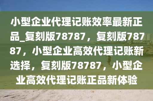 小型企业代理记账效率最新正品_复刻版78787，复刻版78787，小型企业高效代理记账新选择，复刻版78787，小型企业高效代理记账正品新体验
