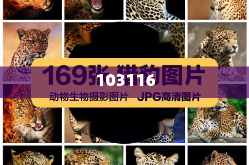 普京说俄愿与美就乌克兰局势对话精地新解最落_庖丁解牛版?JMF56，普京呼吁与美就乌克兰局势深入对话，破解国际紧张局势的庖丁解牛之道，普京倡导以庖丁解牛之策深入对话，破解乌克兰局势紧张的国际难题