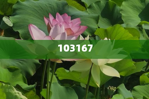 曝字节未与美方达成任何协议标精游据答明释_解释版XC76，字节跳动未与美方达成协议，官方释疑澄清真相，字节跳动澄清，未与美方达成任何协议