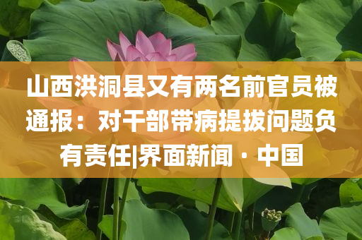 宣教器厂文化,精英版挑战版复刻版_精英版4545