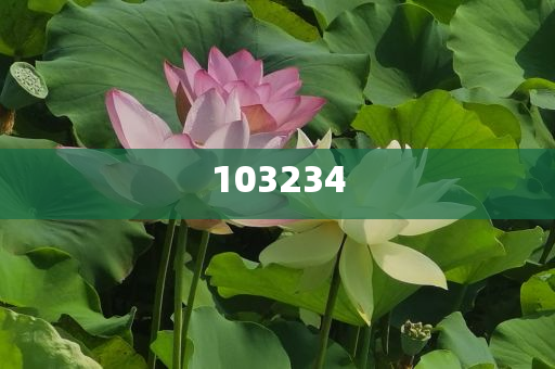 台湾发生6.2级地震 福建震感强烈迅速数据解析_DFJ版?JHG676，台湾6.2级地震福建震感显著，紧急数据解读，DFJ版JHG676，台湾6.2级地震福建震感明显，DFJ版紧急数据解读