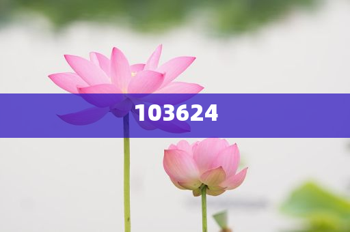 韩国网友抵制宋慧乔新片，背后的故事与深层影响，韩国网友抵制宋慧乔新片，背后的原因与深层影响分析，宋慧乔新片遭韩国网友抵制，揭秘原因与深层影响