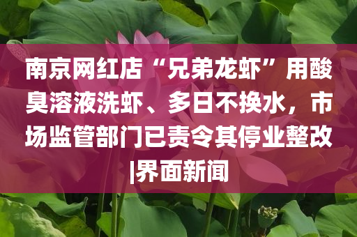 @上海家具,典解版新正实_了解版