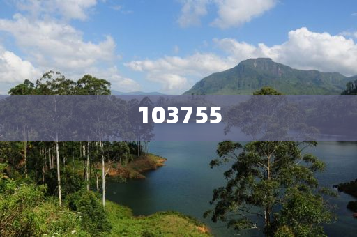 guozhejia 第18页