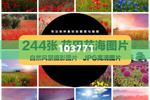 董宇辉离职后，东方甄选面临亏损风波，深度解读与启示，董宇辉离职后东方甄选面临亏损风波，深度解析与影响探讨，董宇辉离职引发东方甄选亏损风波，深度解析与行业启示