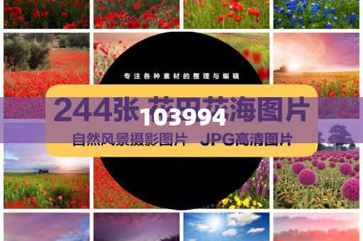 媒体评翟欣欣一审认罪认罚，正义的天平终将不偏不倚，翟欣欣一审认罪认罚，正义的天平始终不偏不倚，翟欣欣一审认罪认罚，正义之尺不偏不倚彰显法治精神