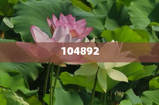 nanyao 第15页