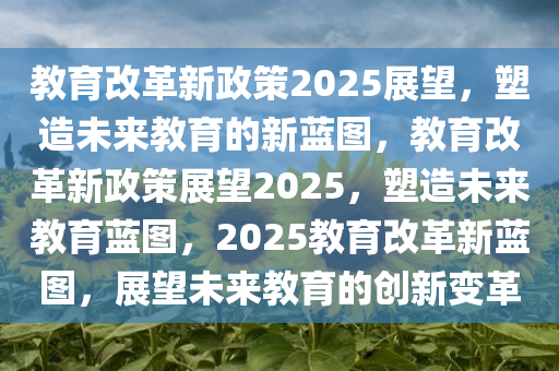 教育改革新政策2025展望，塑造未来教育的新蓝图，教育改革新政策展望2025，塑造未来教育蓝图，2025教育改革新蓝图，展望未来教育的创新变革