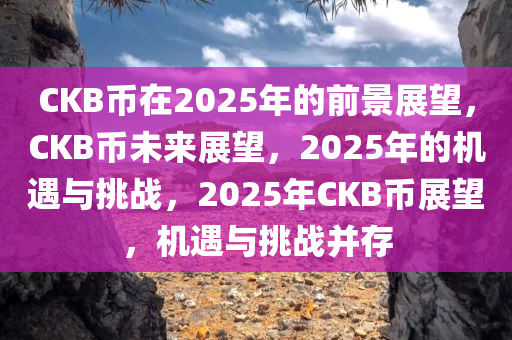 CKB币在2025年的前景展望，CKB币未来展望，2025年的机遇与挑战，2025年CKB币展望，机遇与挑战并存
