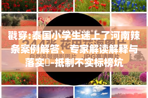 @家装器材本,精地新解最落_庖丁解牛版?JMF56