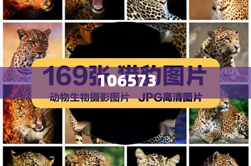 多地现春运骨折票现象深度解析，春运骨折票现象深度解析，多地现象透视与探讨，春运骨折票现象，多地透视与深度解析