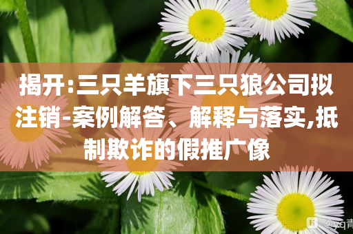 @家具金橙活动科技有限公司,实地落实_资料版4545